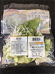 中延園食品 チョレギサラダ 1袋 (JAN: 4907941600817)